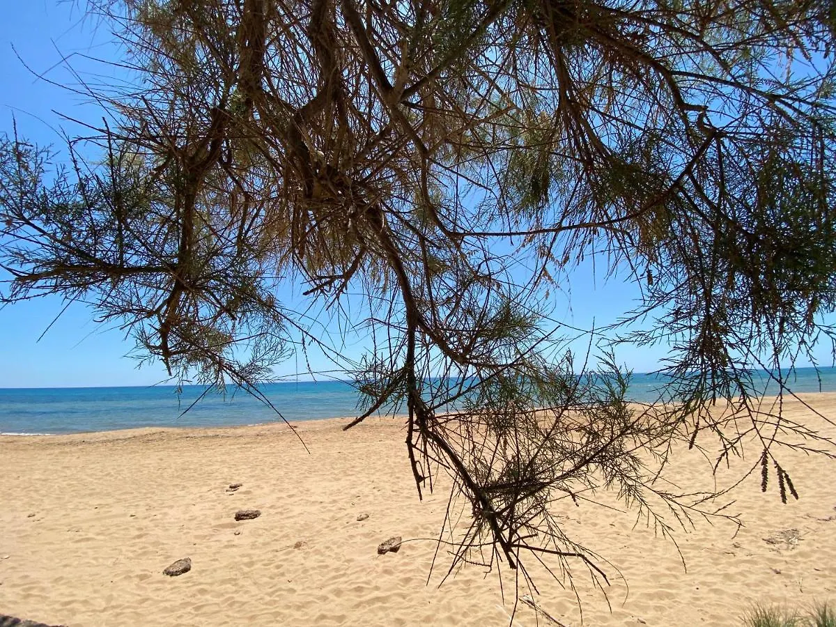 Sea View - Beautiful Terrace With Bbq Apartment Triscina